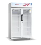 REFRIGERATEUR ASTECH VITRINE 2PORTES 700LITRES FV740DD-GR
