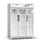 REFRIGERATEUR ASTECH VITRINE 3PORTES 1140LITRES FV1200TD-GR