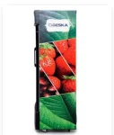 REFRIGERATEUR DESKA VERTICAL VITRINE 250L RSC-413DK